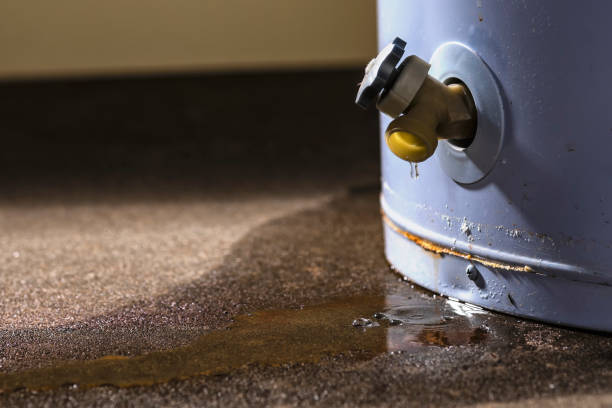 Best Carpet water damage restoration  in Cornwall On Hudson, NY
