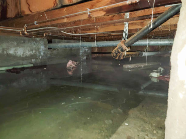 Best Residential water damage restoration  in Cornwall On Hudson, NY