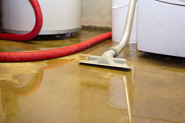 Best Professional water damage repair  in Cornwall On Hudson, NY