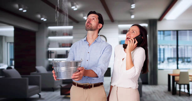 Best Ceiling water damage repair  in Cornwall On Hudson, NY